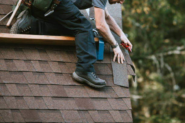 Best Roof Maintenance Services  in Buckhall, VA