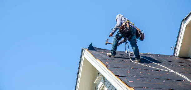 Roof Gutter Cleaning in Buckhall, VA